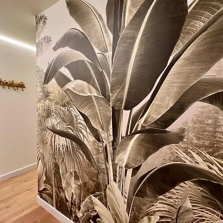 Apartment North Shore 4